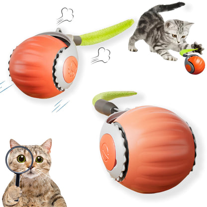 🐱 Upgraded Quick Tail 2.0 Cat Toy – Sensor Chase Ball, 2 Modes & One-Key Switch! ⚡