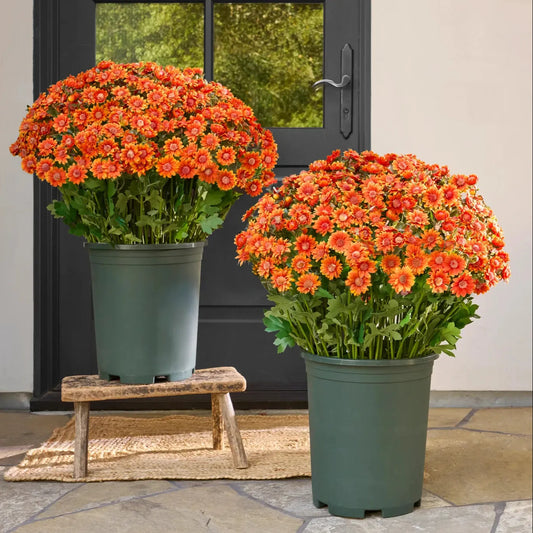 💐Outdoor Artificial Flower Decoration