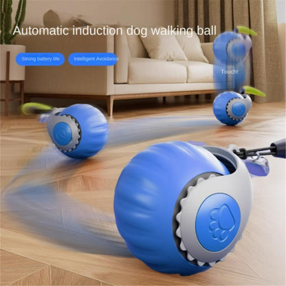 🐱 Upgraded Quick Tail 2.0 Cat Toy – Sensor Chase Ball, 2 Modes & One-Key Switch! ⚡